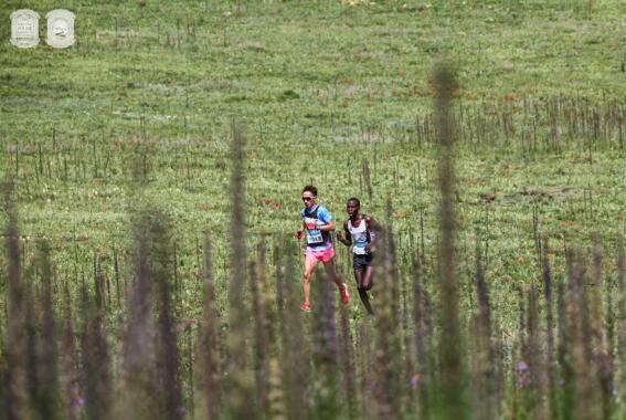 民族团结杯2018阿尼玛卿高原半程马拉松赛圆满落幕